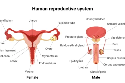 Basics of Reproduction