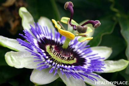 Calming Effects of Passion Flower