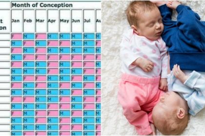 Chinese Gender Predictor