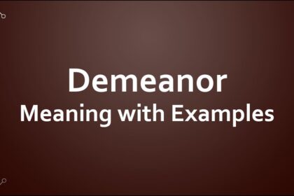 Demeanor Meaning and Examples