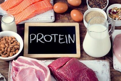 High Protein Foods