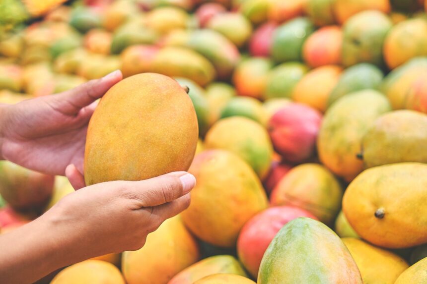 Types of Mangoes in Pakistan