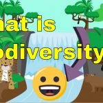 What Is Biodiversity