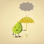 What is Acid Rain