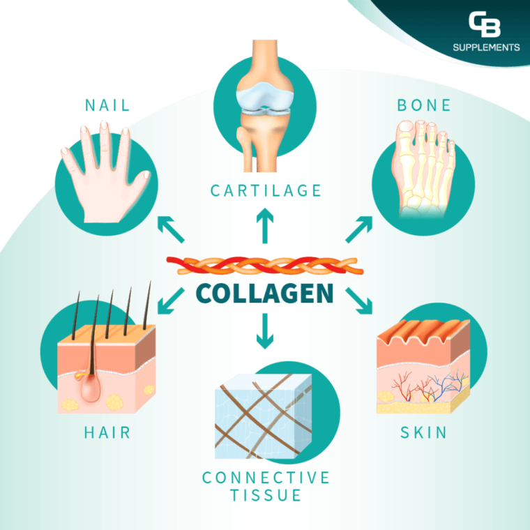 Bumps on Back of Tongue What Causes Them? FAQs
