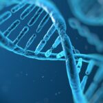 What is DNA