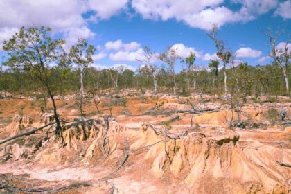 What is Desertification?