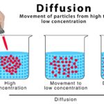 What is Diffusion
