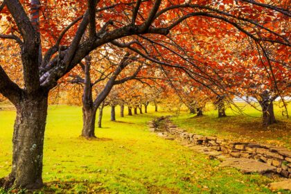 What is Fall Season?