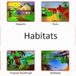What is Habitat