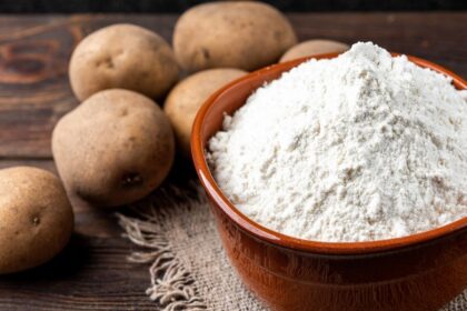 What is Starch