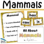What is a Mammal