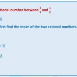 What is a Rational Number