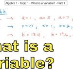 What is a Variable
