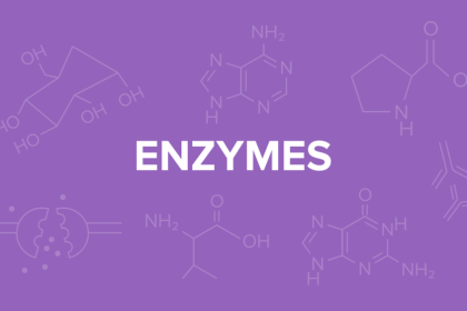 Why Enzymes Are Specific in Nature