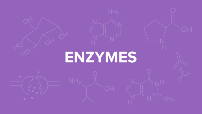 Why Enzymes Are Specific in Nature