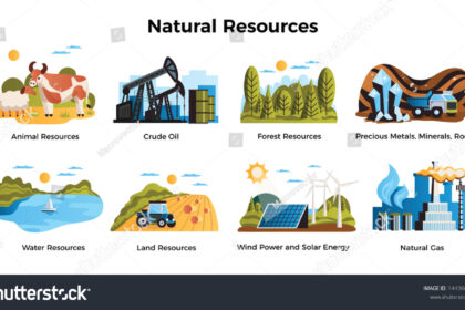 What Are Natural Resources?