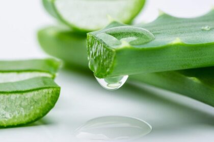 Aloe Vera Side Effects