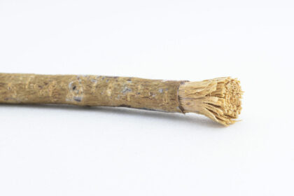 Miswak - An Ancient Tooth-Cleaning Tool