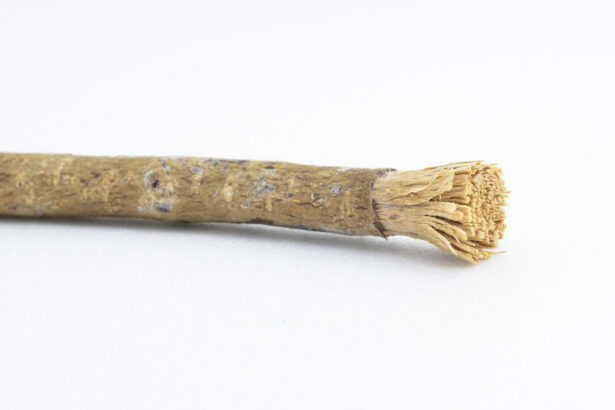 Miswak - An Ancient Tooth-Cleaning Tool