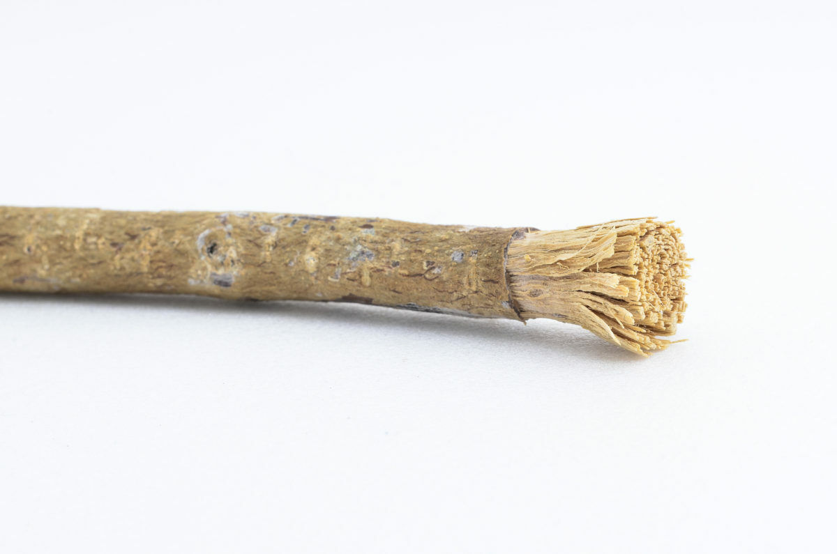 Miswak - An Ancient Tooth-Cleaning Tool
