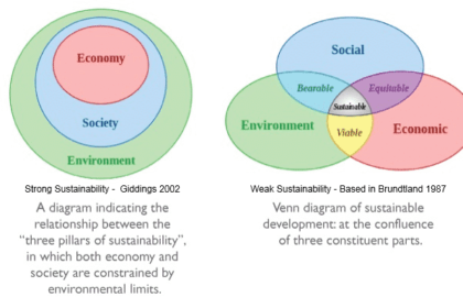 Interplay Between Environment and Economy